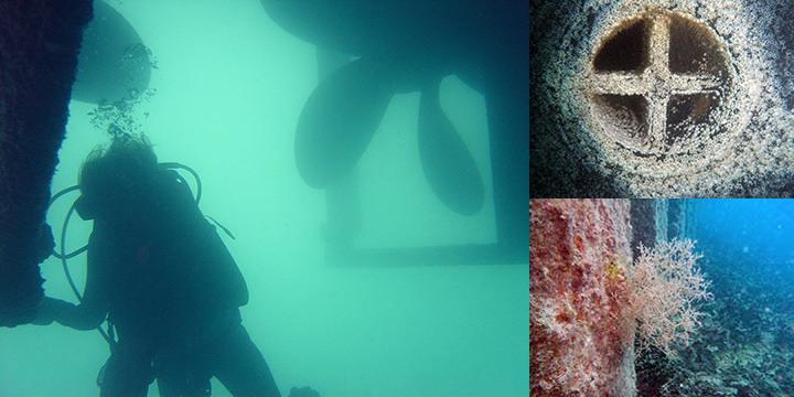 Left, diver inspecting a vessel hull underwater. Top right, barnacles growing on a ship hull's seawater intake. Bottom right, a bryozoan marine invertebrate growing on a seawall at Midway Atoll.
