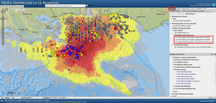 View of Environmental Response Management Application showing map of Gulf of Mexico with varying probabilities of oil presence and sea turtle oiling during the Deepwater Horizon oil spill with data source information.