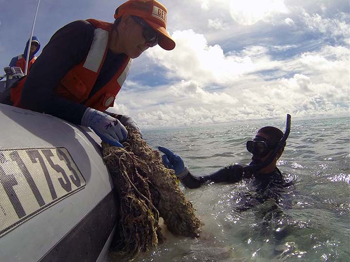 Person pulling bio-fouled net out of water into boat with diver's help.