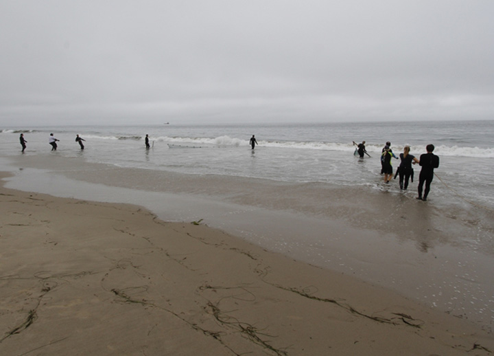Ten people stand in the beach surf pulling a seine net to shore.