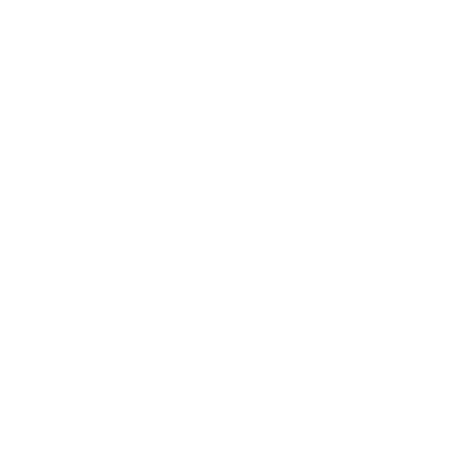 NOAA Logo