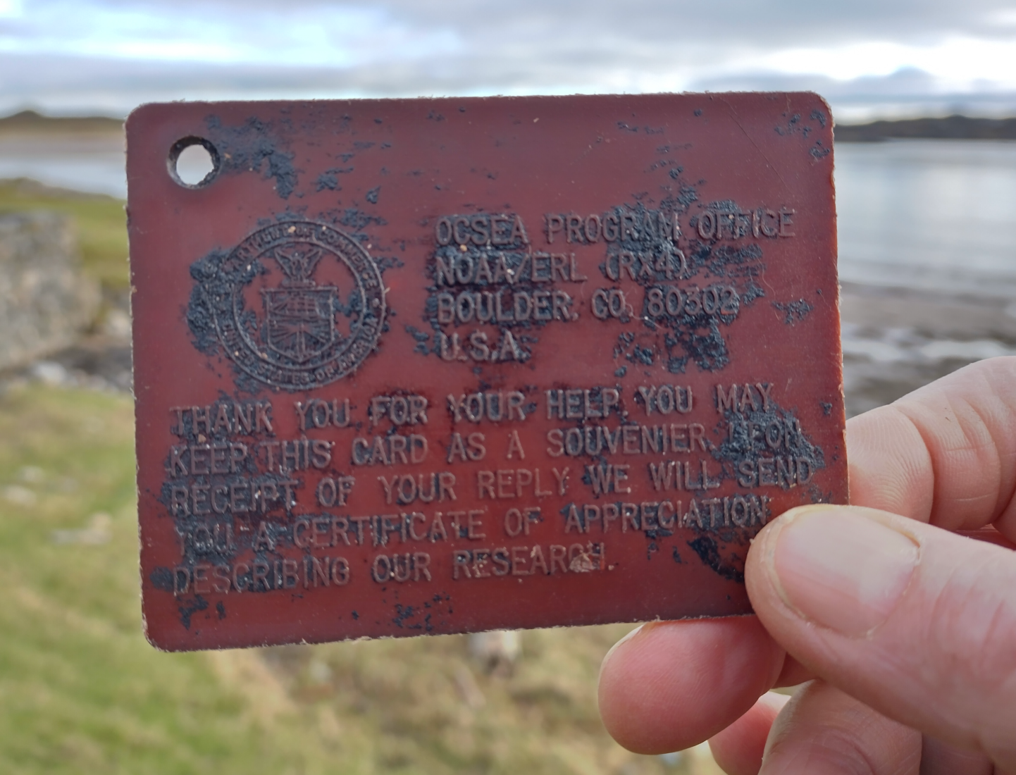 A hand holding the backside of an old plastic drift card with a shoreline in the background.