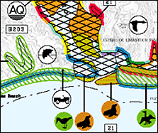 Sample environmental sensitivity index (ESI) map.