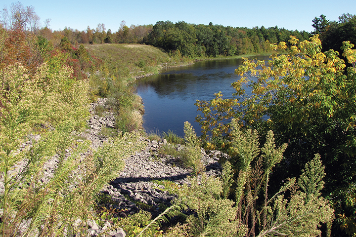 Restoration projects for the St. Lawrence River environment will benefit natural and cultural resources as well as increase the public’s ability to boat, fish, and view wildlife.